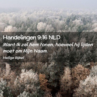 Picture 02 - Handelingen 9:16 NLD - Want Ik zal hem tonen, hoeveel hij lijden moet om - Bible Verse Picture
