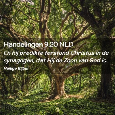 Picture 02 - Handelingen 9:20 NLD - En hij predikte terstond Christus in de - Bible Verse Picture