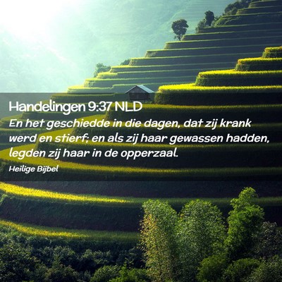 Picture 02 - Handelingen 9:37 NLD - En het geschiedde in die dagen, dat zij krank - Bible Verse Picture
