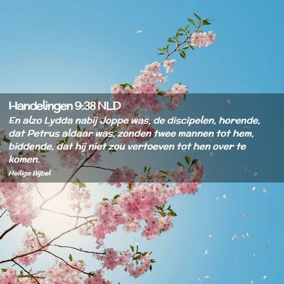 Picture 02 - Handelingen 9:38 NLD - En alzo Lydda nabij Joppe was, de discipelen, - Bible Verse Picture