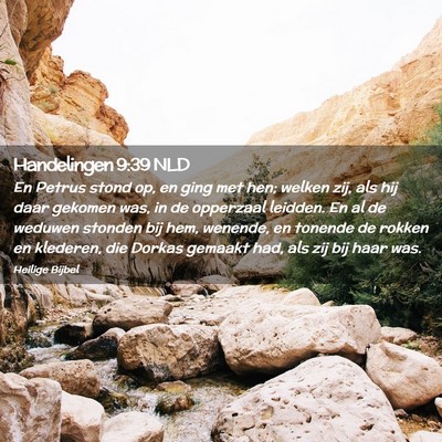Picture 02 - Handelingen 9:39 NLD - En Petrus stond op, en ging met hen; welken zij, - Bible Verse Picture