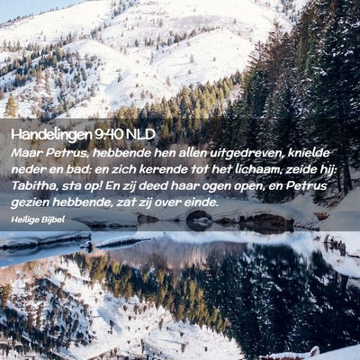 Picture 02 - Handelingen 9:40 NLD - Maar Petrus, hebbende hen allen uitgedreven, - Bible Verse Picture
