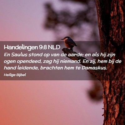 Picture 02 - Handelingen 9:8 NLD - En Saulus stond op van de aarde; en als hij zijn - Bible Verse Picture