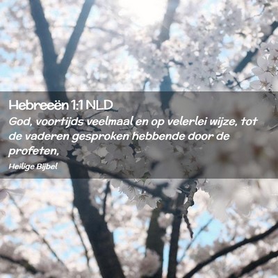 Picture 02 - Hebreeën 1:1 NLD - God, voortijds veelmaal en op velerlei wijze, tot - Bible Verse Picture