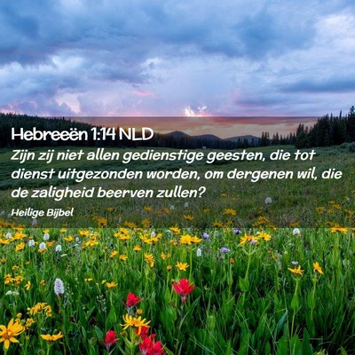 Picture 02 - Hebreeën 1:14 NLD - Zijn zij niet allen gedienstige geesten, die tot - Bible Verse Picture