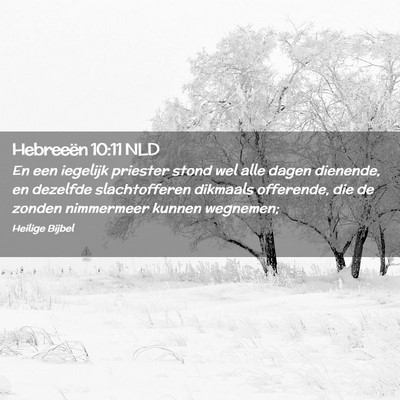 Picture 02 - Hebreeën 10:11 NLD - En een iegelijk priester stond wel alle dagen - Bible Verse Picture