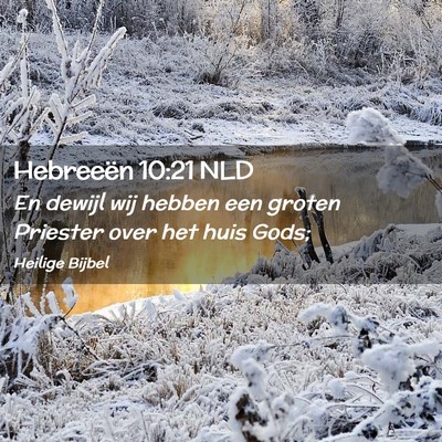 Picture 02 - Hebreeën 10:21 NLD - En dewijl wij hebben een groten Priester over het - Bible Verse Picture