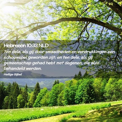 Picture 02 - Hebreeën 10:33 NLD - Ten dele, als gij door smaadheden en - Bible Verse Picture