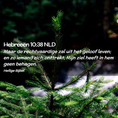 Picture 02 - Hebreeën 10:38 NLD - Maar de rechtvaardige zal uit het geloof leven; - Bible Verse Picture