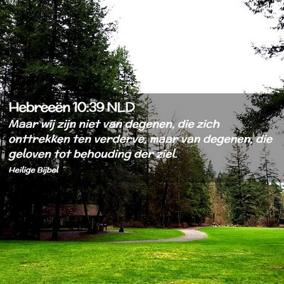 Picture 02 - Hebreeën 10:39 NLD - Maar wij zijn niet van degenen, die zich - Bible Verse Picture