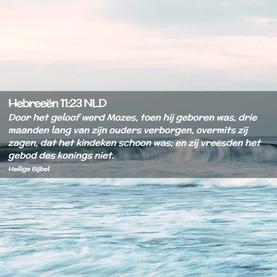Picture 02 - Hebreeën 11:23 NLD - Door het geloof werd Mozes, toen hij geboren was, - Bible Verse Picture