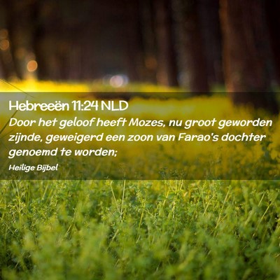 Picture 02 - Hebreeën 11:24 NLD - Door het geloof heeft Mozes, nu groot geworden - Bible Verse Picture