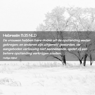 Picture 02 - Hebreeën 11:35 NLD - De vrouwen hebben hare doden uit de opstanding - Bible Verse Picture