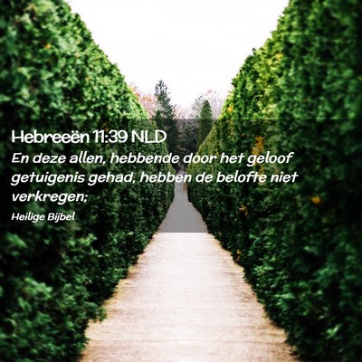 Picture 02 - Hebreeën 11:39 NLD - En deze allen, hebbende door het geloof - Bible Verse Picture