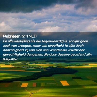 Picture 02 - Hebreeën 12:11 NLD - En alle kastijding als die tegenwoordig is, - Bible Verse Picture