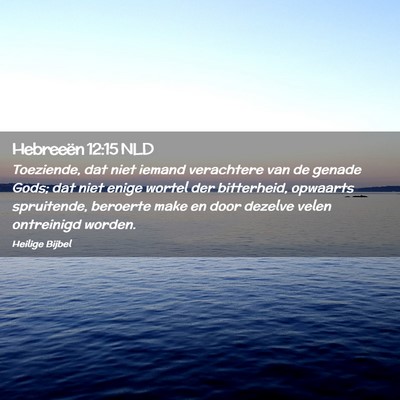 Picture 02 - Hebreeën 12:15 NLD - Toeziende, dat niet iemand verachtere van de - Bible Verse Picture