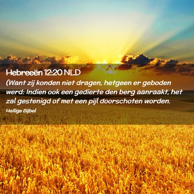 Picture 02 - Hebreeën 12:20 NLD - (Want zij konden niet dragen, hetgeen er geboden - Bible Verse Picture