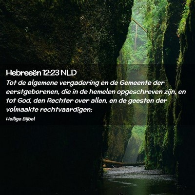 Picture 02 - Hebreeën 12:23 NLD - Tot de algemene vergadering en de Gemeente der - Bible Verse Picture