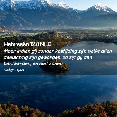 Picture 02 - Hebreeën 12:8 NLD - Maar indien gij zonder kastijding zijt, welke - Bible Verse Picture