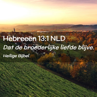 Picture 02 - Hebreeën 13:1 NLD - Dat de broederlijke liefde - Bible Verse Picture