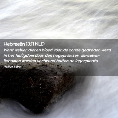 Picture 02 - Hebreeën 13:11 NLD - Want welker dieren bloed voor de zonde gedragen - Bible Verse Picture