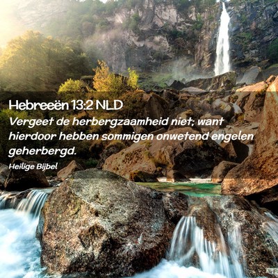 Picture 02 - Hebreeën 13:2 NLD - Vergeet de herbergzaamheid niet; want hierdoor - Bible Verse Picture