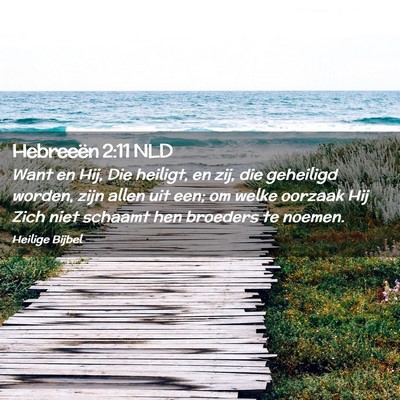Picture 02 - Hebreeën 2:11 NLD - Want en Hij, Die heiligt, en zij, die geheiligd - Bible Verse Picture