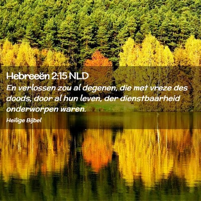 Picture 02 - Hebreeën 2:15 NLD - En verlossen zou al degenen, die met vreze des - Bible Verse Picture