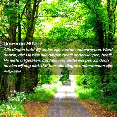Picture 02 - Hebreeën 2:8 NLD - Alle dingen hebt Gij onder zijn voeten - Bible Verse Picture