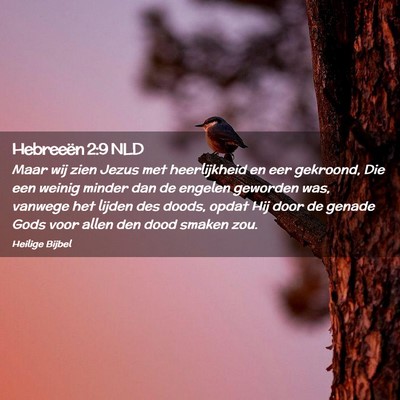Picture 02 - Hebreeën 2:9 NLD - Maar wij zien Jezus met heerlijkheid en eer - Bible Verse Picture