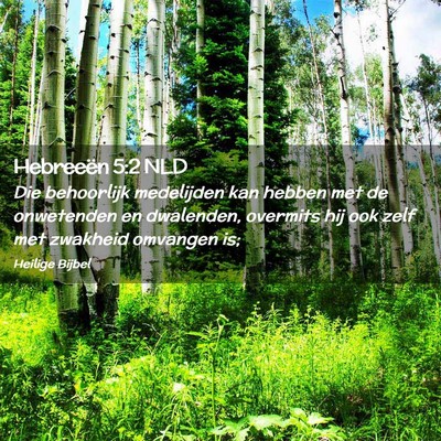 Picture 02 - Hebreeën 5:2 NLD - Die behoorlijk medelijden kan hebben met de - Bible Verse Picture