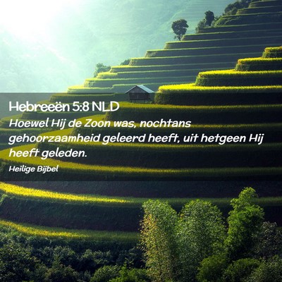 Picture 02 - Hebreeën 5:8 NLD - Hoewel Hij de Zoon was, nochtans gehoorzaamheid - Bible Verse Picture