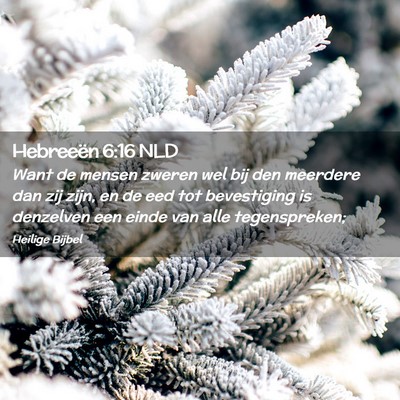 Picture 02 - Hebreeën 6:16 NLD - Want de mensen zweren wel bij den meerdere dan - Bible Verse Picture