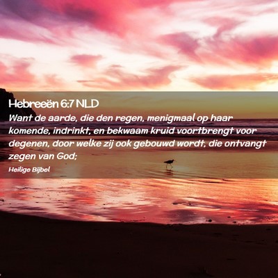 Picture 02 - Hebreeën 6:7 NLD - Want de aarde, die den regen, menigmaal op haar - Bible Verse Picture