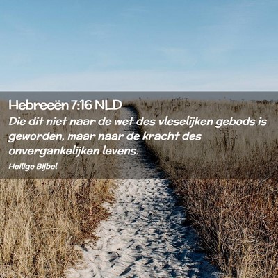 Picture 02 - Hebreeën 7:16 NLD - Die dit niet naar de wet des vleselijken gebods - Bible Verse Picture