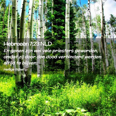 Picture 02 - Hebreeën 7:23 NLD - En genen zijn wel vele priesters geworden, omdat - Bible Verse Picture