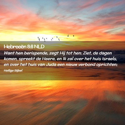 Picture 02 - Hebreeën 8:8 NLD - Want hen berispende, zegt Hij tot hen: Ziet, de - Bible Verse Picture