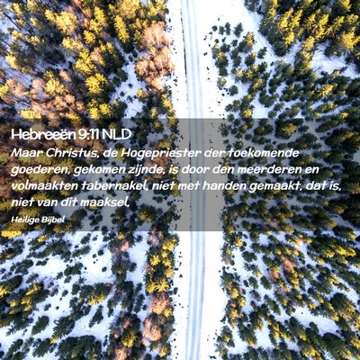 Picture 02 - Hebreeën 9:11 NLD - Maar Christus, de Hogepriester der toekomende - Bible Verse Picture