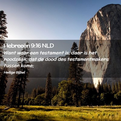 Picture 02 - Hebreeën 9:16 NLD - Want waar een testament is, daar is het noodzaak, - Bible Verse Picture