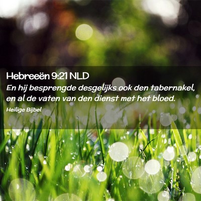 Picture 02 - Hebreeën 9:21 NLD - En hij besprengde desgelijks ook den tabernakel, - Bible Verse Picture
