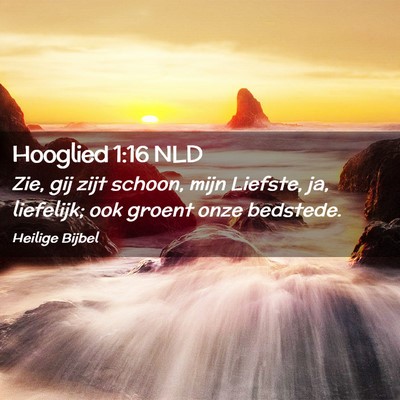 Picture 02 - Hooglied 1:16 NLD - Zie, gij zijt schoon, mijn Liefste, ja, - Bible Verse Picture