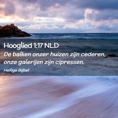 Picture 02 - Hooglied 1:17 NLD - De balken onzer huizen zijn cederen, onze - Bible Verse Picture