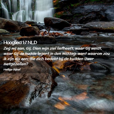 Picture 02 - Hooglied 1:7 NLD - Zeg mij aan, Gij, Dien mijn ziel liefheeft, waar - Bible Verse Picture