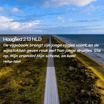 Picture 02 - Hooglied 2:13 NLD - De vijgeboom brengt zijn jonge vijgjes voort, en - Bible Verse Picture