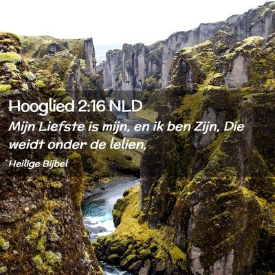 Picture 02 - Hooglied 2:16 NLD - Mijn Liefste is mijn, en ik ben Zijn, Die weidt - Bible Verse Picture