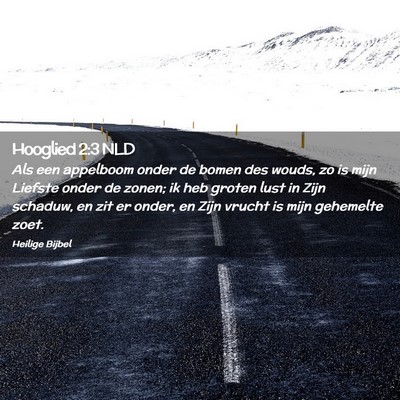 Picture 02 - Hooglied 2:3 NLD - Als een appelboom onder de bomen des wouds, zo is - Bible Verse Picture