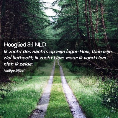 Picture 02 - Hooglied 3:1 NLD - Ik zocht des nachts op mijn leger Hem, Dien mijn - Bible Verse Picture