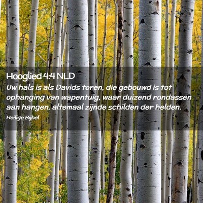 Picture 02 - Hooglied 4:4 NLD - Uw hals is als Davids toren, die gebouwd is tot - Bible Verse Picture