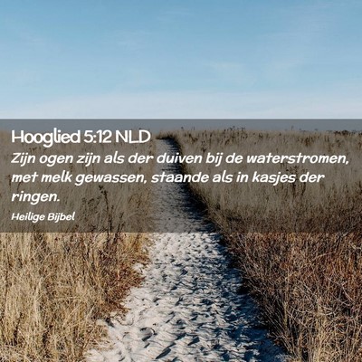 Picture 02 - Hooglied 5:12 NLD - Zijn ogen zijn als der duiven bij de - Bible Verse Picture