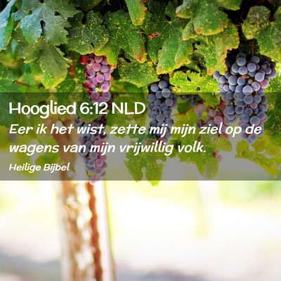 Picture 02 - Hooglied 6:12 NLD - Eer ik het wist, zette mij mijn ziel op de wagens - Bible Verse Picture